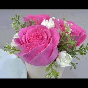 Meet your Posher, Mena